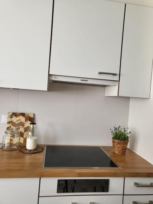 Appartamento Al Ronchetto Riva San Vitale Esterno foto